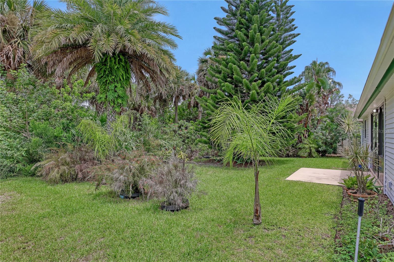 PINE ISLAND PH 02 - Residential