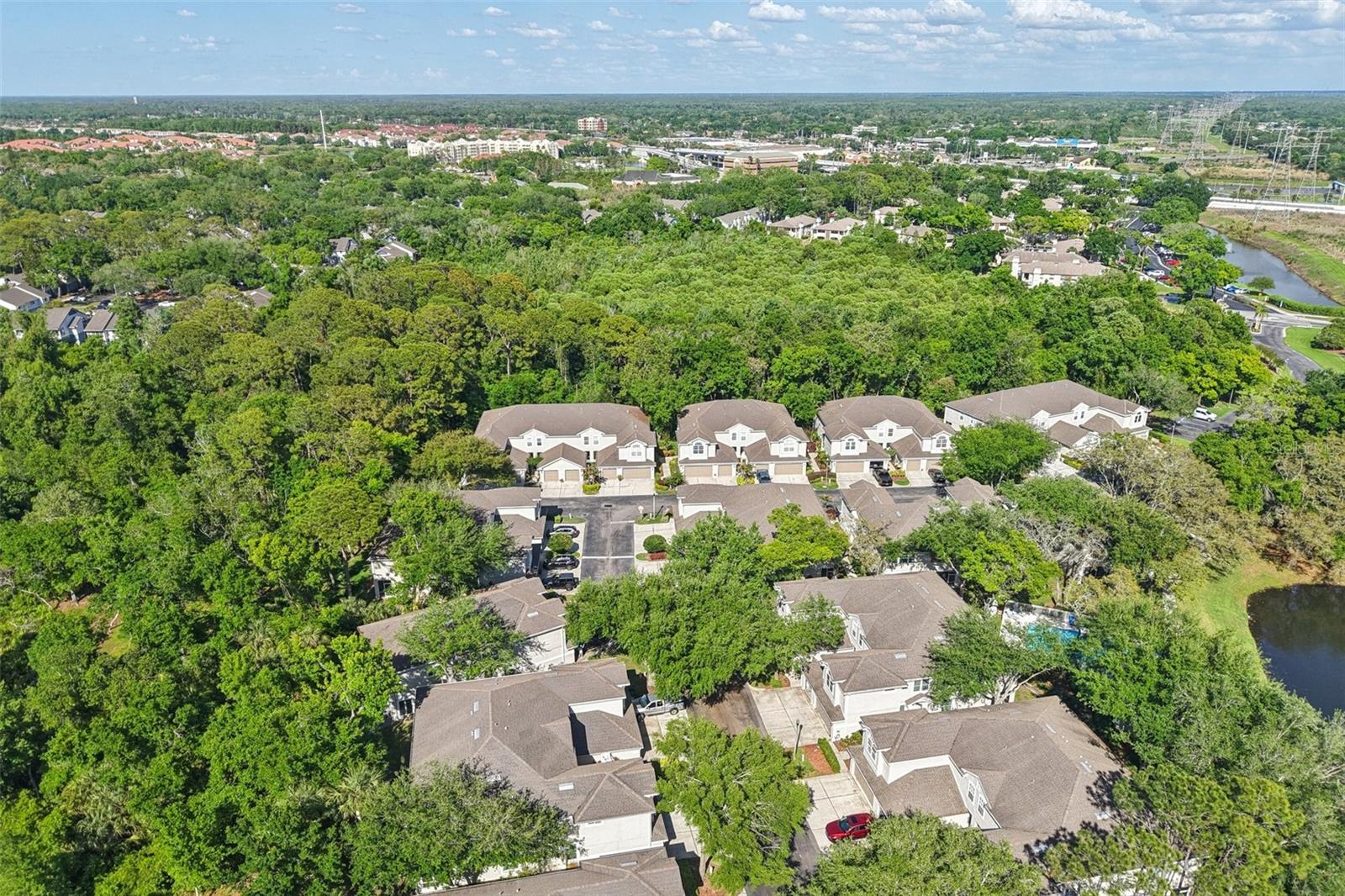 LAKE POINTE AT COUNTRYSIDE - Residential
