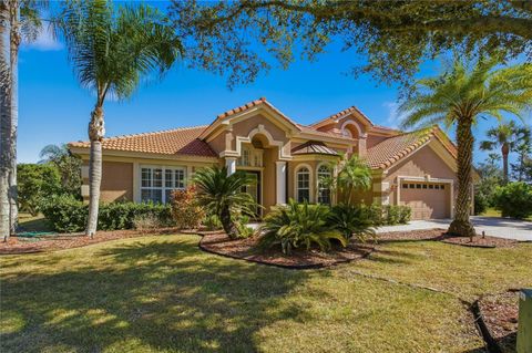 10703 GARDA DRIVE TRINITY FL 34655
