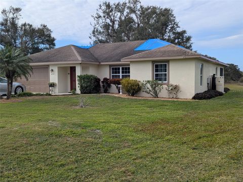 A home in ZOLFO SPRINGS