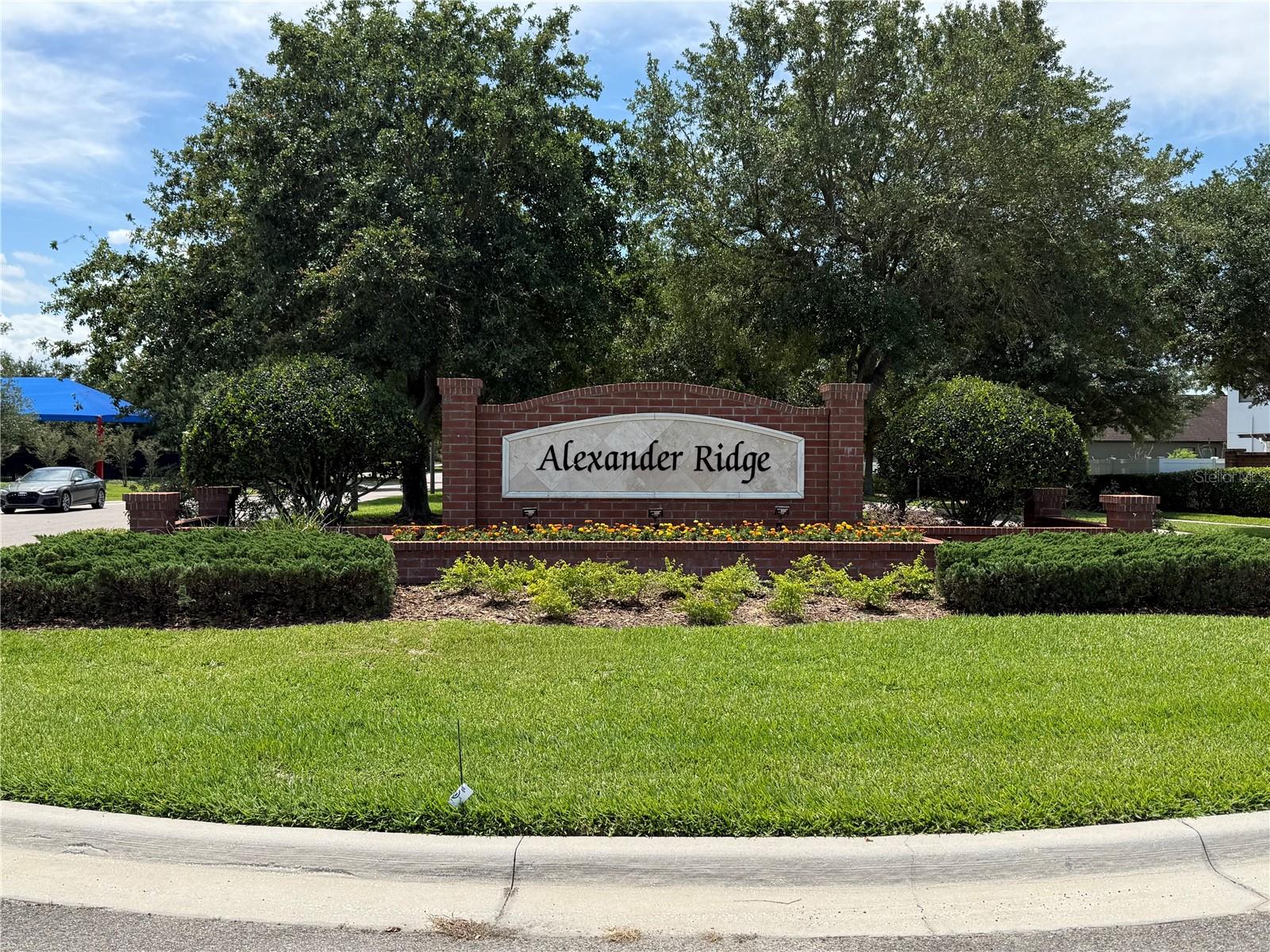 ALEXANDER RDG - Residential