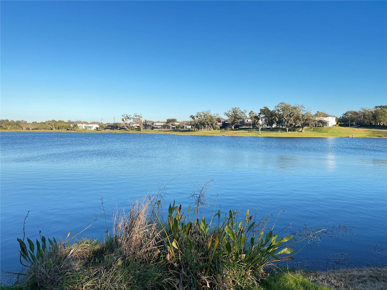 HICKORY HAMMOCK PH 2B - Residential