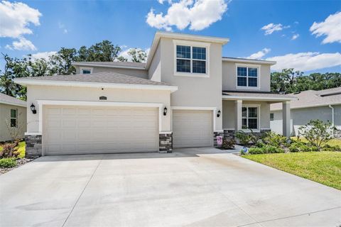 A home in ZEPHYRHILLS