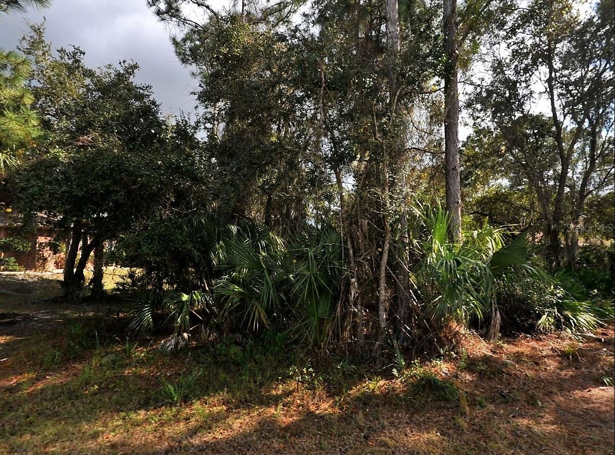 Don't miss this X zone lot located in a growing neighborhood full of potential. Enjoy the convenience of nearby shopping, parks, and just a short 30-minute drive to beautiful beaches and Gulf access. This is the perfect spot to invest in your future!