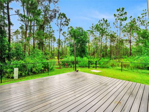 A home in PUNTA GORDA