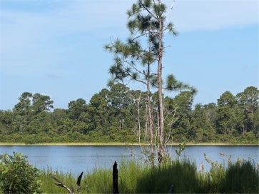 TBD MALAUKA RADIAL OCKLAWAHA FL 32179