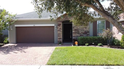 Photo of 251 Silver Maple Road, Groveland, FL 34736 (MLS # O6351663)