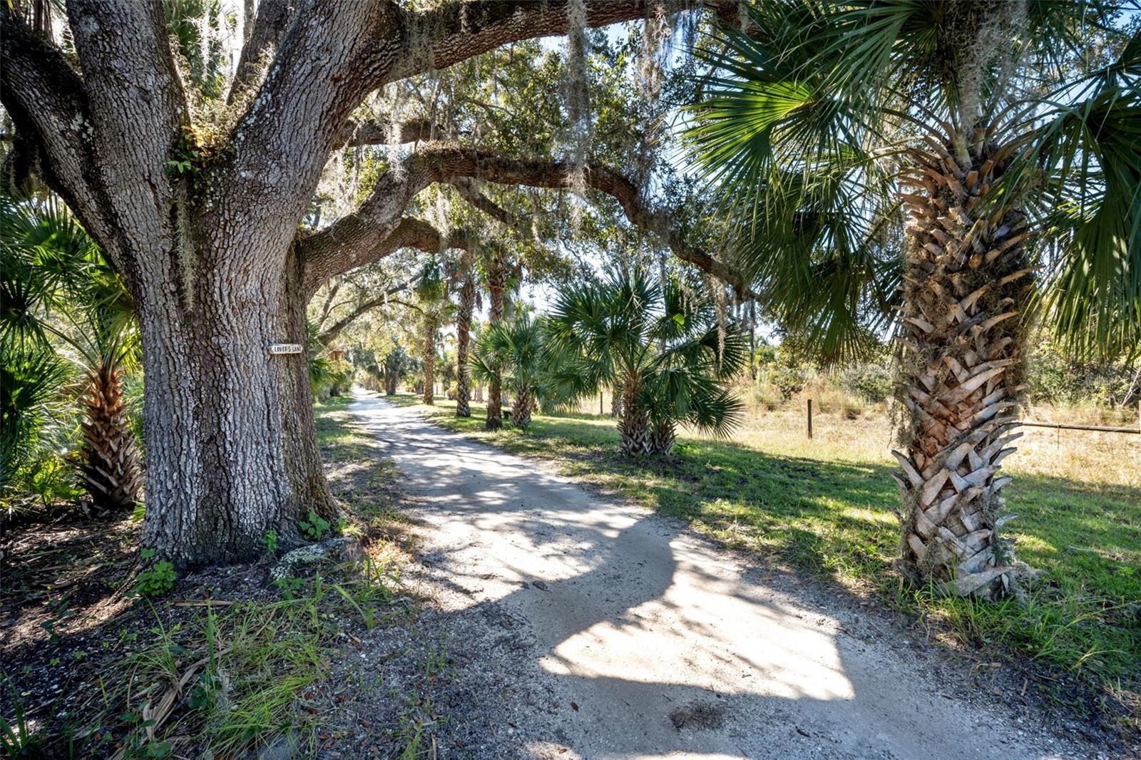TITUSVILLE FRUIT & FARM LAND CO - Residential