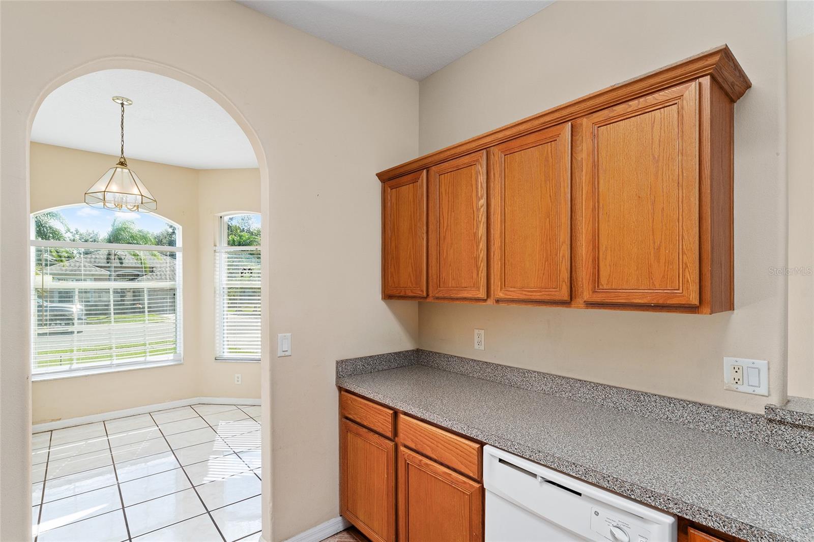 MOUNT DORA OVERLOOK AT MOUNT DORA LT 01 PB - Residential