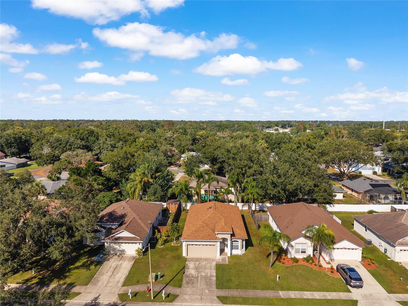 MOUNT DORA OVERLOOK AT MOUNT DORA LT 01 PB - Residential
