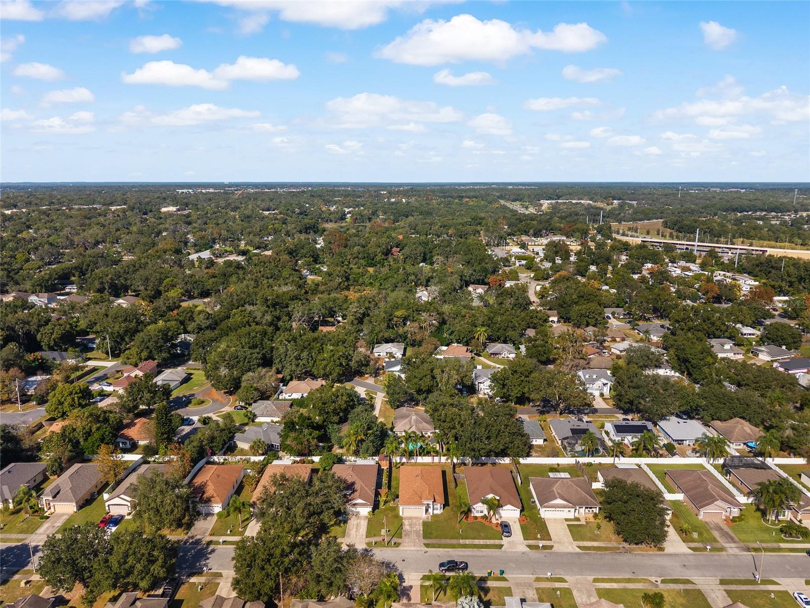 MOUNT DORA OVERLOOK AT MOUNT DORA LT 01 PB - Residential