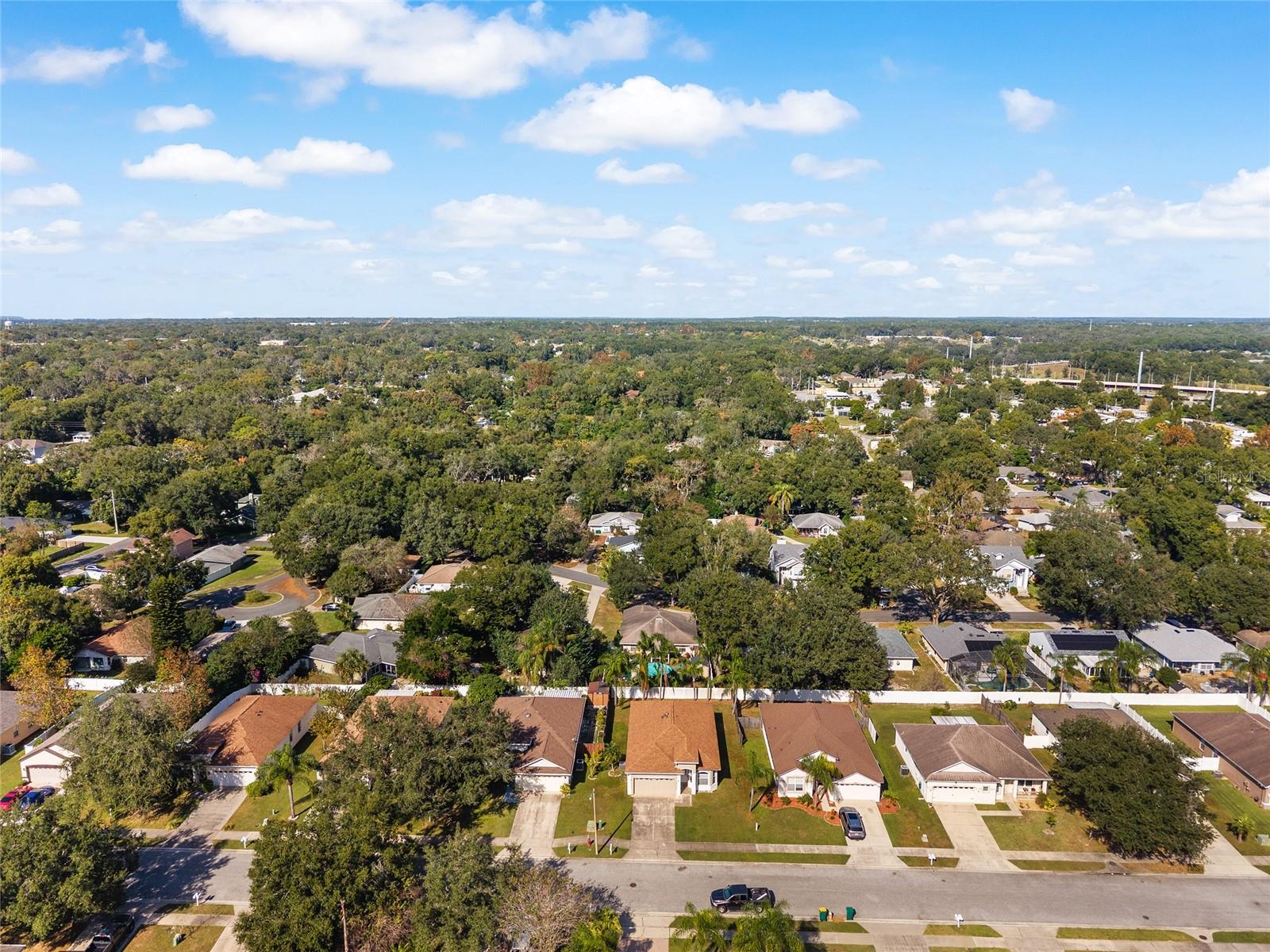 MOUNT DORA OVERLOOK AT MOUNT DORA LT 01 PB - Residential