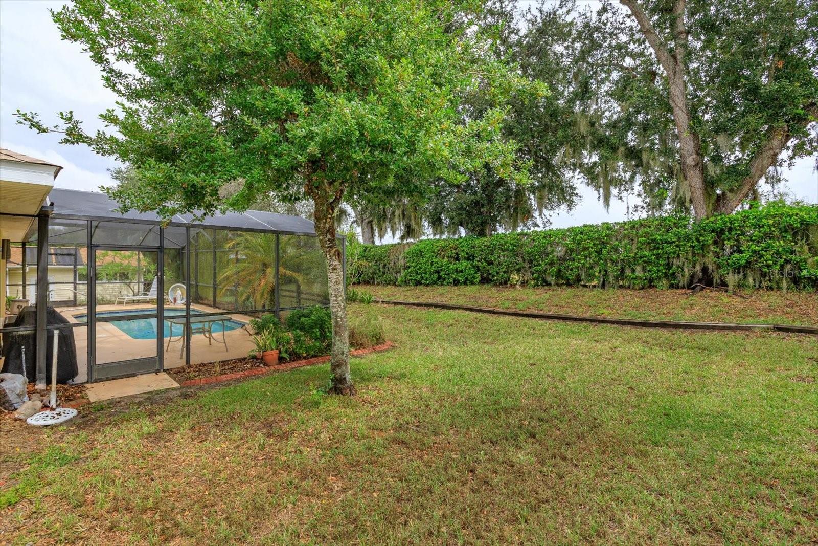 TAVARES ROYAL HARBOR PH 02 LT 179 - Residential