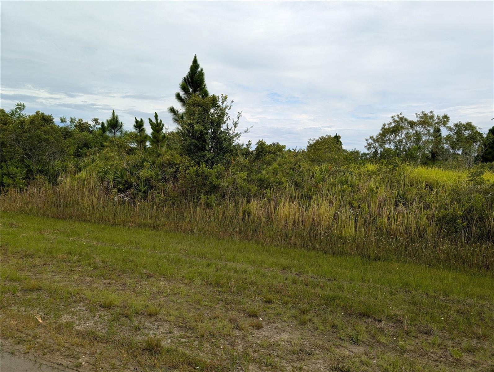 Come build your forever home on this one-half acre lot with an adjacent lot also for sale. This property is located in Indian Lake Estates, a golfing, fishing and boating community in the center of Florida. The 7,500 acre lake locally known as Lake Walk In Water, nationally known for its fishing and considered to be one of the best bass fishing lakes in all Florida. The lake has a beach, boat ramp, boat marina and the longest freshwater Fishing pier in the State of Florida. The pavilion is located at the front of the pier and is complete with propane grills and covered picnic tables. The community amenities include an 18-hole golf course, basketball and tennis courts, 23, 000 sq.ft. clubhouse, cafe, post office, churches, library, fitness room and pro shop. If you love nature and the peace and quiet of the country you're in luck. Wildlife is plentiful! You will see deer, raccoon, turkey, turtles, cranes and various species of birds that call Indian Lake Estates their home.
Orlando and Disney is only about an hour's drive north and Tampa, Busch Gardens, and the Gulf's pristine beaches only a little over an hour west. Historic Bok Tower, a National Landmark, is in nearby Lake Wales. The Westgate River Ranch Resort and Rodeo is just six miles away. An authentic Florida dude ranch and full-service resort offering guests the opportunity to experience "Old Florida." Encompassing 1,700 beautiful acres, Westgate River Ranch features horseback riding, wildlife airboat and swamp buggy rides, Saturday night championship rodeo, trap/skeet range, nature hikes, petting farm, marina, Adventure Park with zip line and rock climbing wall, Westgate Smokehouse Grill and River Ranch Saloon and much more. Cowboy-themed accommodations range from ranch-themed lodge guestrooms and deluxe lodge suites to spacious cottages, two-bedroom cabins, Glamping and Luxe Teepees. Come out and see how great life can be at Indian Lake Estates! Polk County's best kept secret!