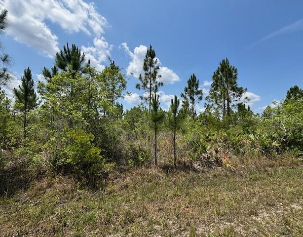 Photo of 1015 Calliandra Drive, Indian Lake Estates, FL 33855 (MLS # P4939931)