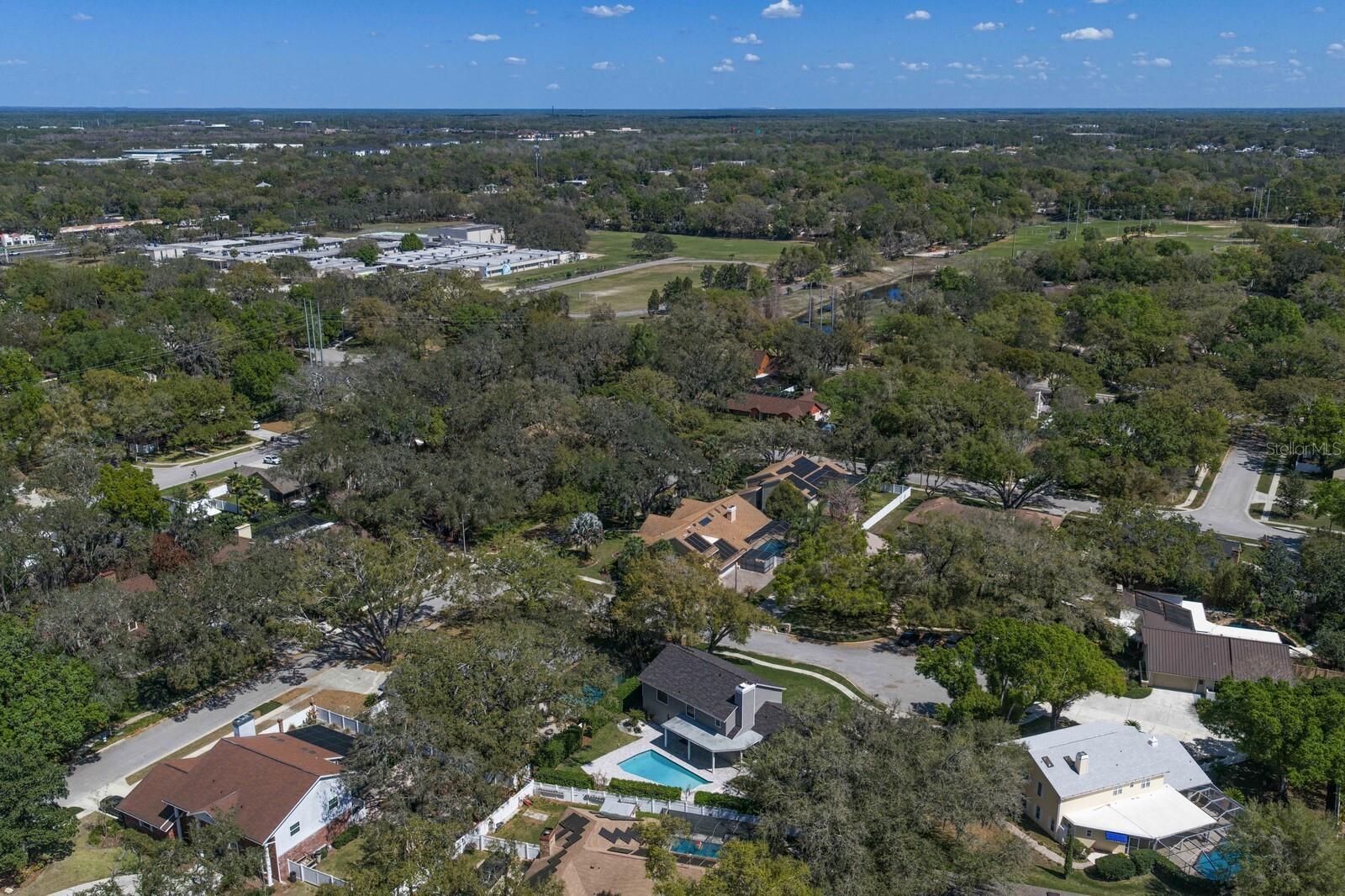 FRANCES ARBOR VILLAS - Residential