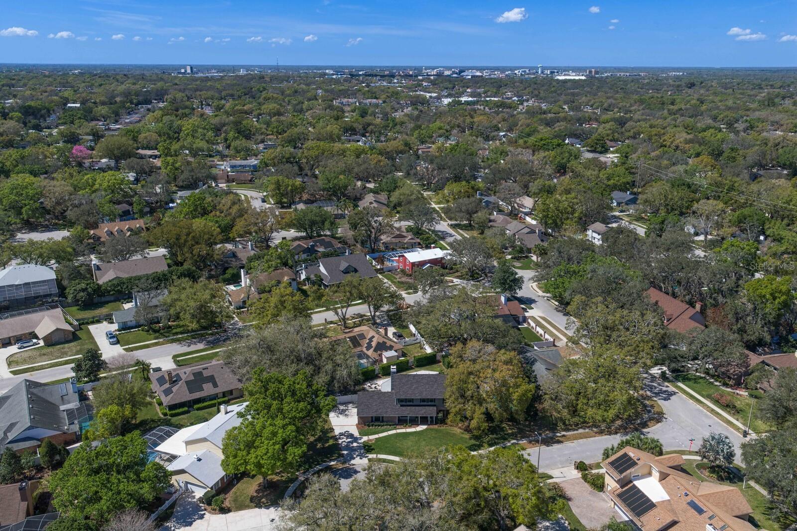 FRANCES ARBOR VILLAS - Residential