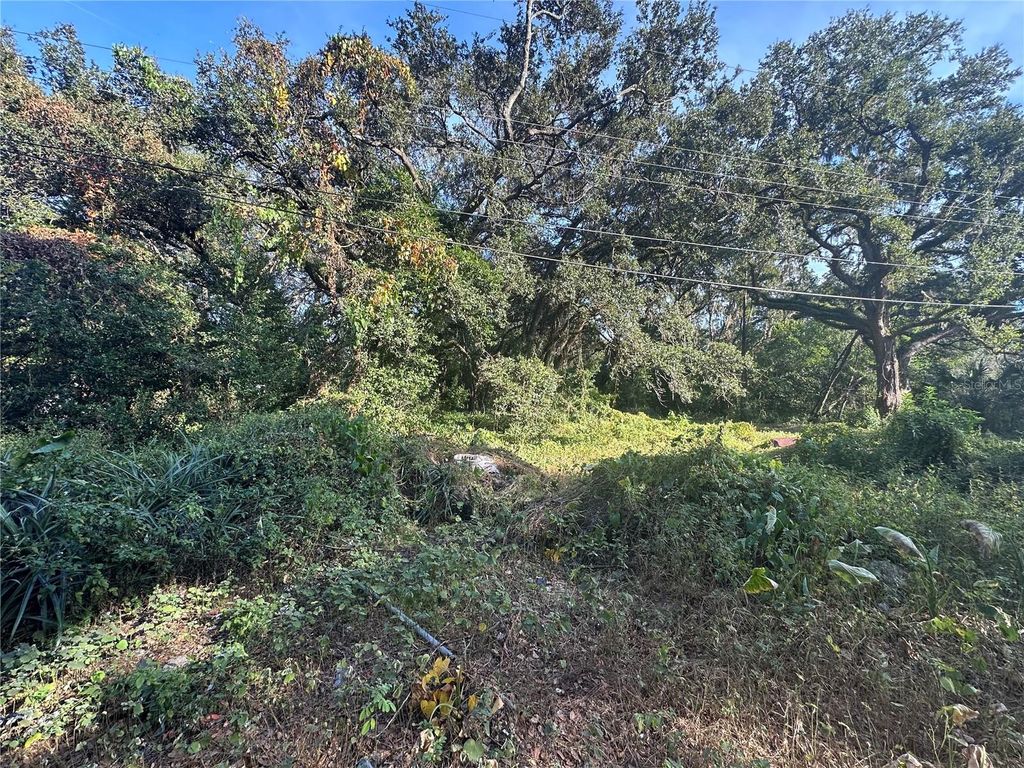 Photo of 11911 Leroy Sheppard Road, Thonotosassa, FL 33592 (MLS # TB8469454)