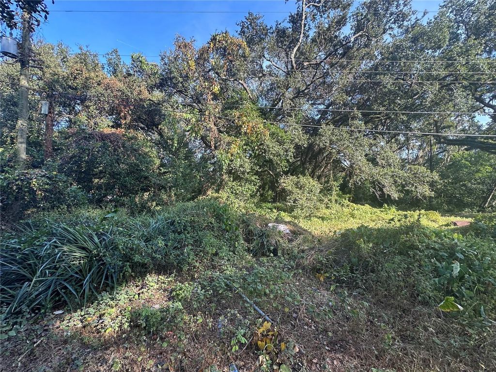 Photo of 11911 Leroy Sheppard Road, Thonotosassa, FL 33592 (MLS # TB8469454)