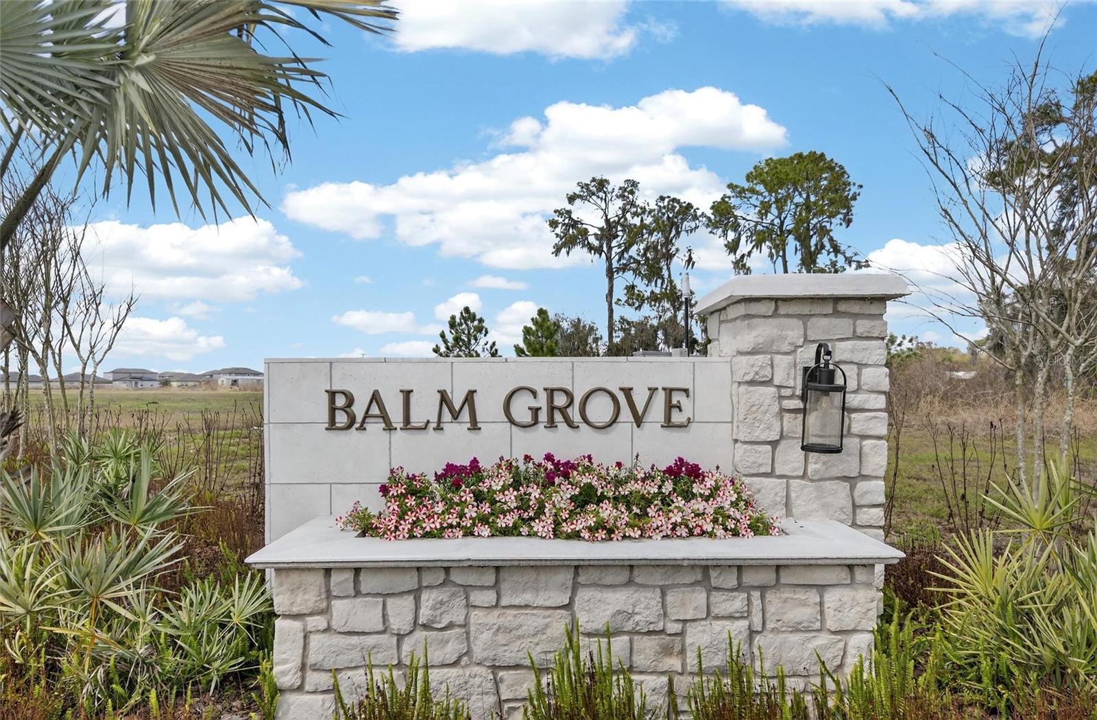 BALM GROVE WEST - Residential