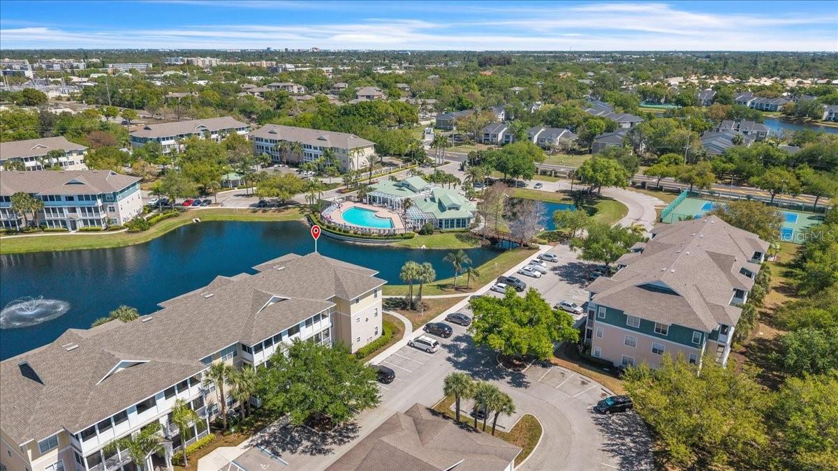 THE PALMS OF CORTEZ - Residential