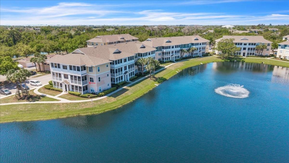 THE PALMS OF CORTEZ - Residential