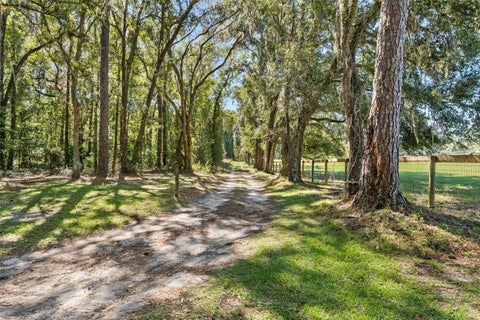 Tiny photo for 15495 NW 185th Street, Williston, FL 32696 (MLS # GC544211)