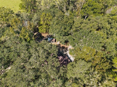 Tiny photo for 15495 NW 185th Street, Williston, FL 32696 (MLS # GC544211)