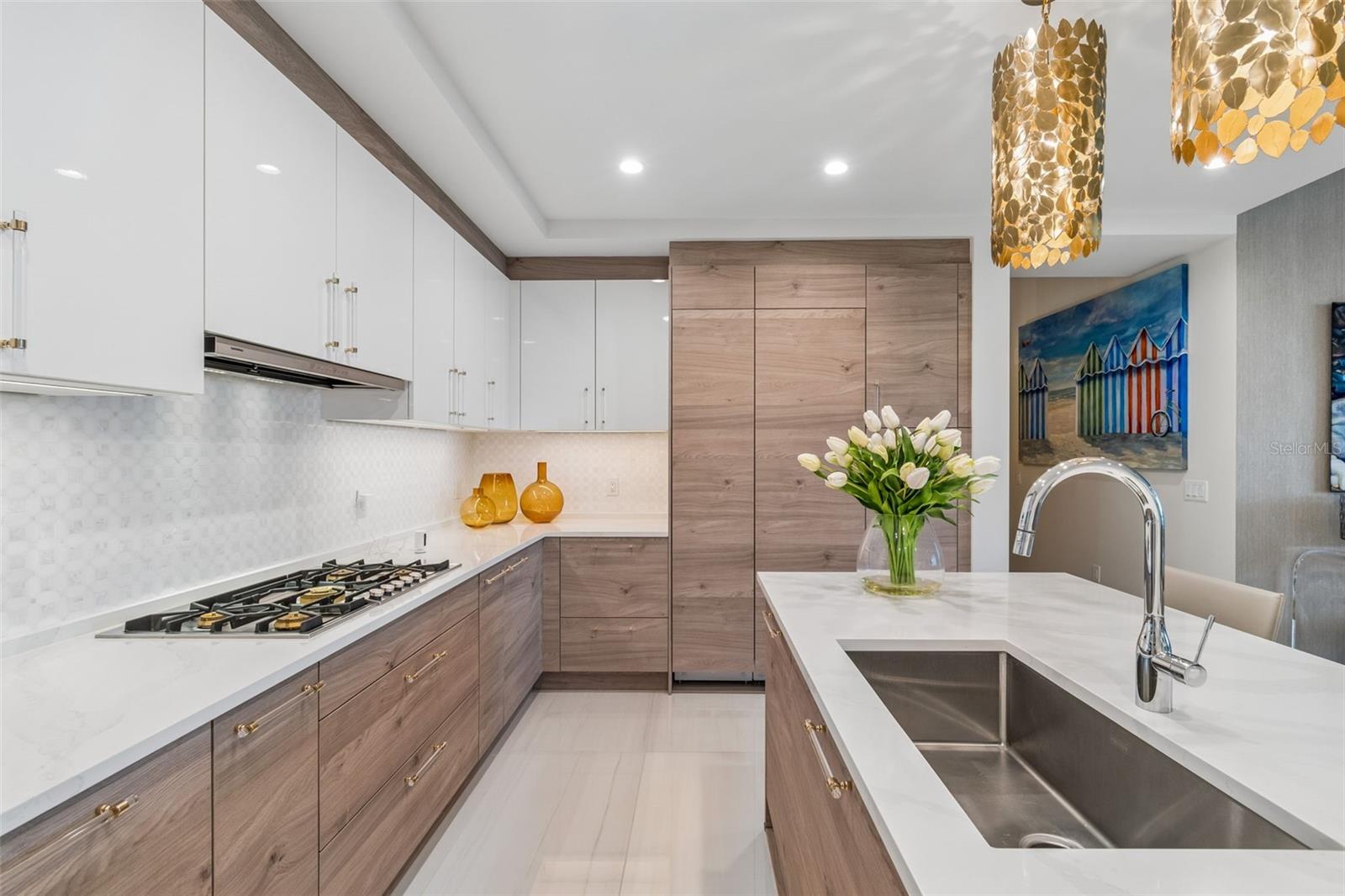HYDE PARK HOUSE CONDOMINIUM - Residential