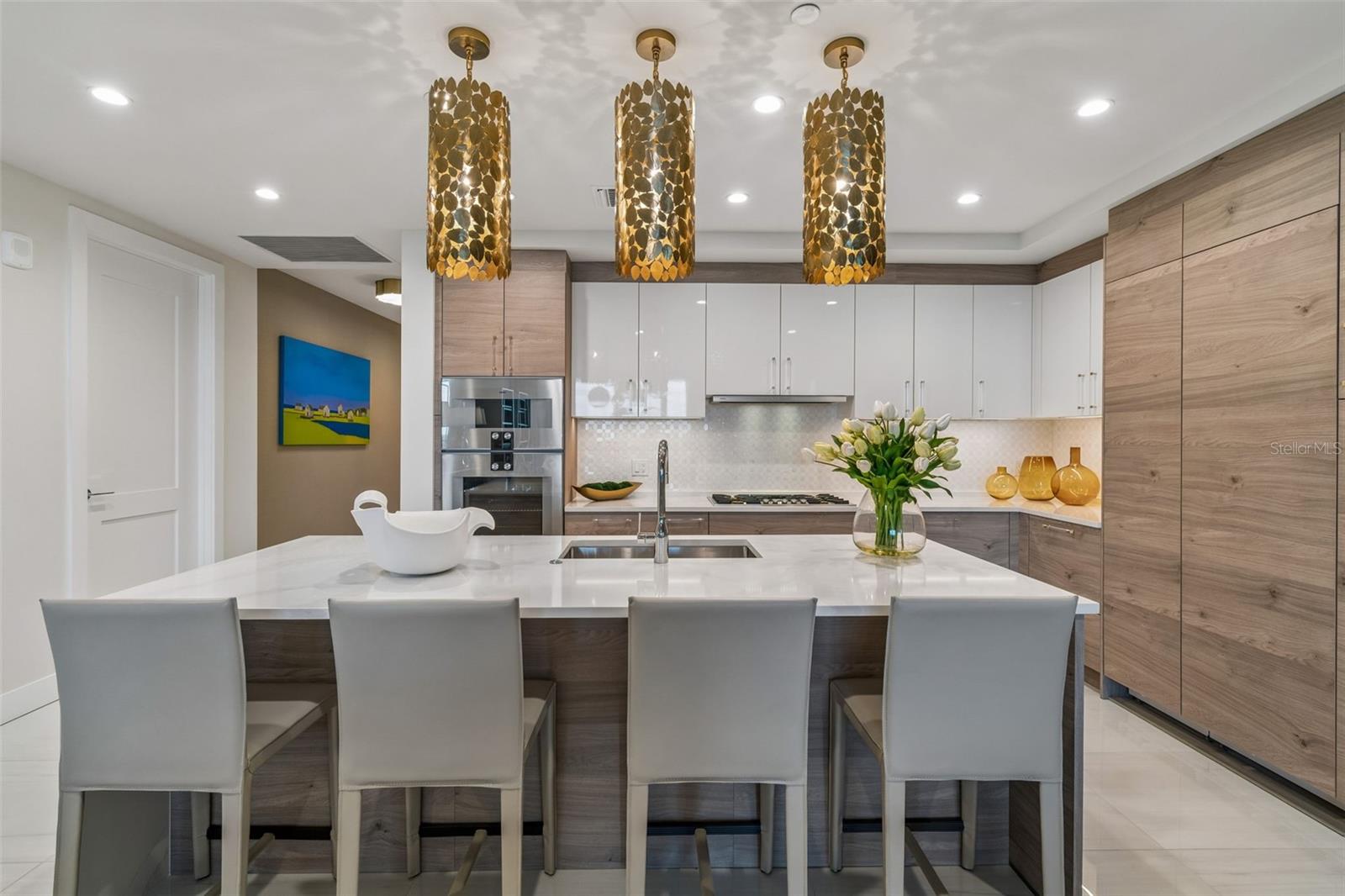 HYDE PARK HOUSE CONDOMINIUM - Residential
