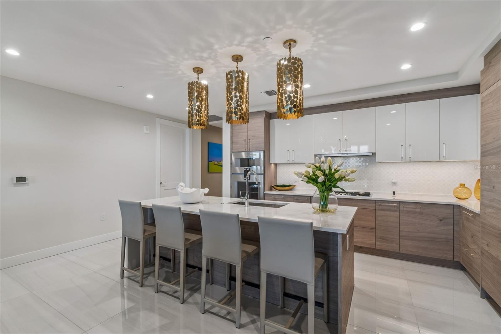 HYDE PARK HOUSE CONDOMINIUM - Residential
