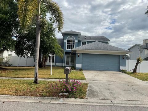 11727 SPANISH LAKE DRIVE TAMPA FL 33635