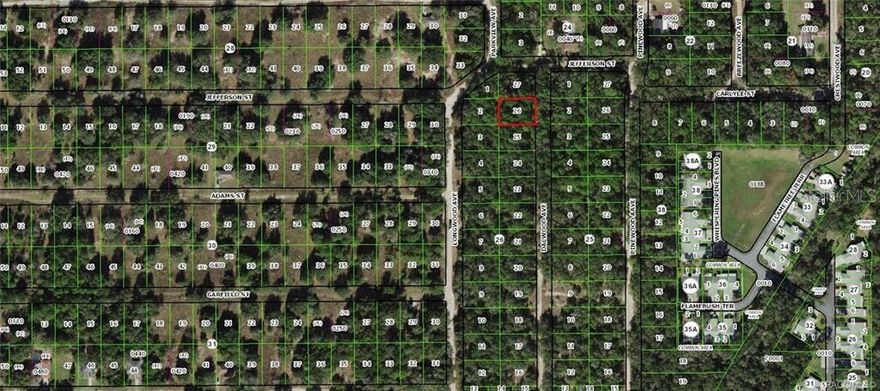 NICE BUILDING LOT WHERE NEW HOMES ARE BEING BUILT. NEARBY SHOPPING, DINING, RECREATION, HOSPITAL. INVERNESS SITS ON THE TSALA APOPKA CHAIN OF LAKES. HISTORIC DOWNTOWN HAS MANY SHOPS AND RESTAURANTS. EASY DRIVE TO CRYSTAL RIVER AND THE GULF. PLEASE CHECK WITH CITY OF INVERNESS REGARDING WATER. SOME HOMES HAVE IT AND SOME HAVE A WELL.