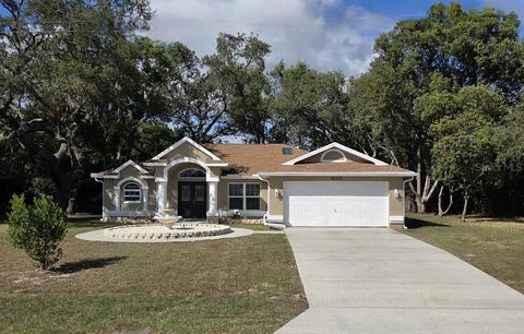 Photo of Spring Hill, FL 34609 (MLS # TB8454396)