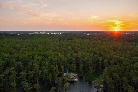 Tiny photo for 11450 Nellie Oaks Bend, Clermont, FL 34711 (MLS # O6293634)