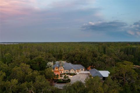 Tiny photo for 11450 Nellie Oaks Bend, Clermont, FL 34711 (MLS # O6293634)