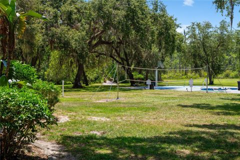 Tiny photo for 11450 Nellie Oaks Bend, Clermont, FL 34711 (MLS # O6293634)