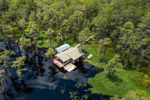 Tiny photo for 11450 Nellie Oaks Bend, Clermont, FL 34711 (MLS # O6293634)