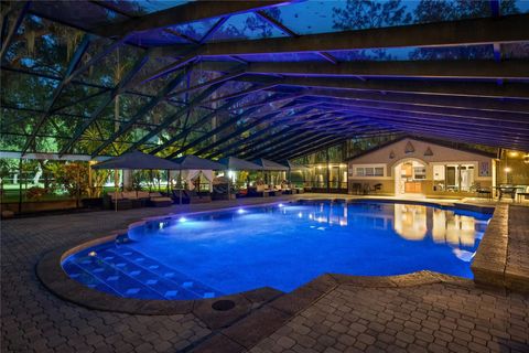 Tiny photo for 11450 Nellie Oaks Bend, Clermont, FL 34711 (MLS # O6293634)