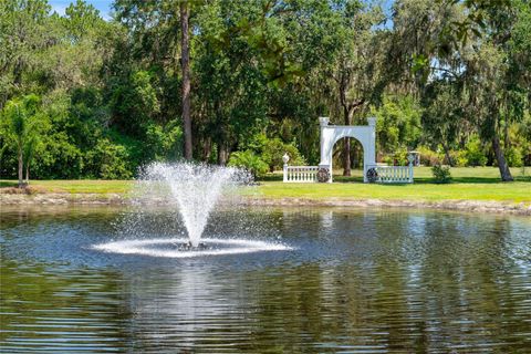 Tiny photo for 11450 Nellie Oaks Bend, Clermont, FL 34711 (MLS # O6293634)