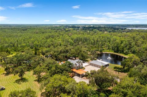 Tiny photo for 11450 Nellie Oaks Bend, Clermont, FL 34711 (MLS # O6293634)