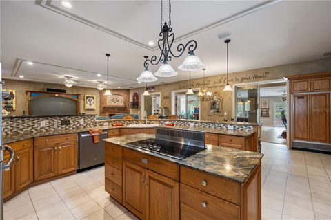 Tiny photo for 11450 Nellie Oaks Bend, Clermont, FL 34711 (MLS # O6293634)