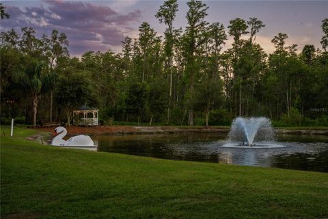 Tiny photo for 11450 Nellie Oaks Bend, Clermont, FL 34711 (MLS # O6293634)