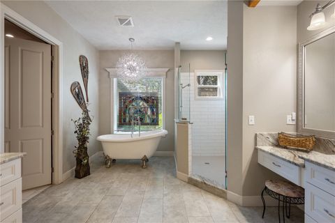 Tiny photo for 11450 Nellie Oaks Bend, Clermont, FL 34711 (MLS # O6293634)