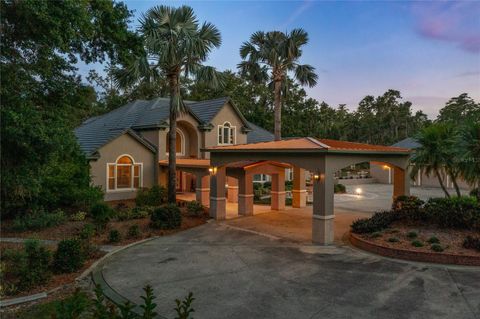 Tiny photo for 11450 Nellie Oaks Bend, Clermont, FL 34711 (MLS # O6293634)