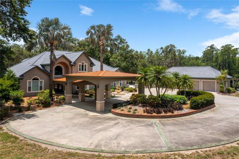 Tiny photo for 11450 Nellie Oaks Bend, Clermont, FL 34711 (MLS # O6293634)