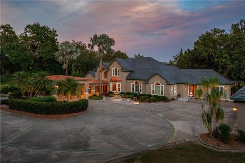 Tiny photo for 11450 Nellie Oaks Bend, Clermont, FL 34711 (MLS # O6293634)