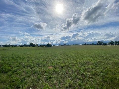 Photo of White Road, Brooksville, FL 34602 (MLS # TB8479057)