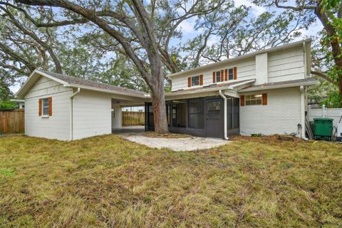 A home in TAMPA