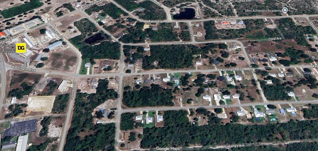 Photo of 130 Johnson Avenue, Lake Placid, FL 33852 (MLS # O6356908)